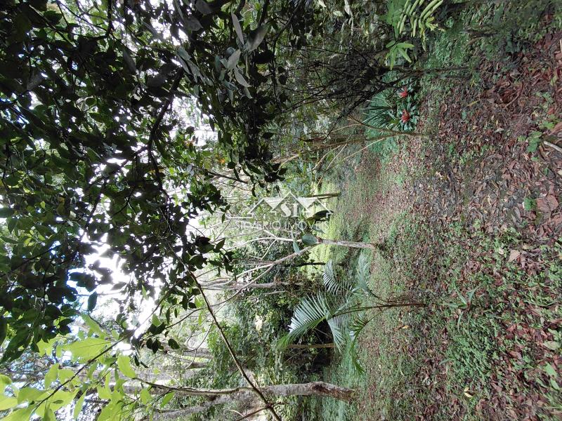 Terreno Residencial à venda em Itaipava, Petrópolis - RJ - Foto 5