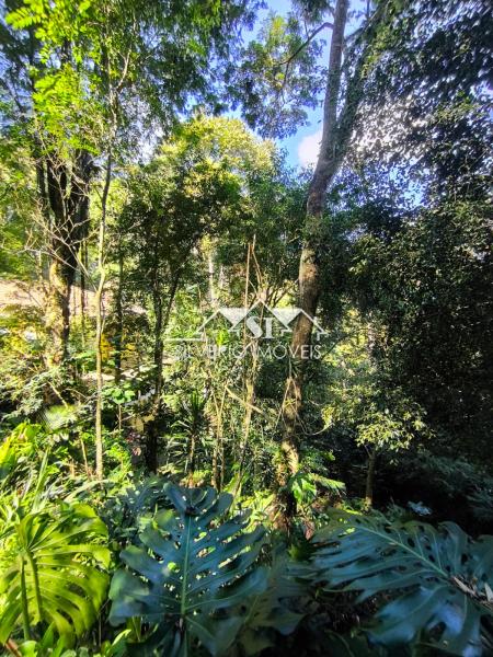Casa à venda em Itaipava, Petrópolis - RJ - Foto 9