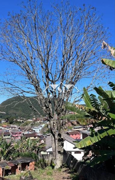 Terreno Residencial à venda em Quitandinha, Petrópolis - RJ - Foto 11