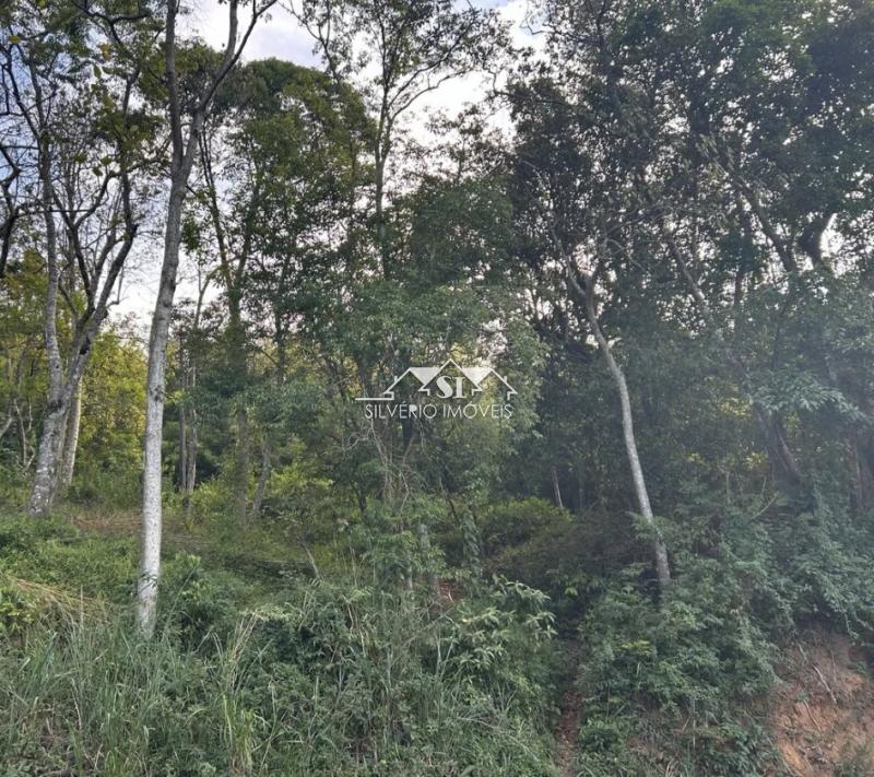 Terreno Residencial à venda em Caxambú, Petrópolis - RJ - Foto 5