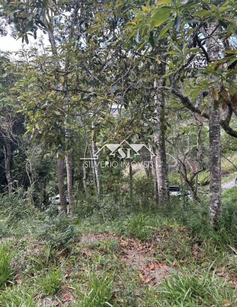 Terreno Residencial à venda em Caxambú, Petrópolis - RJ - Foto 3