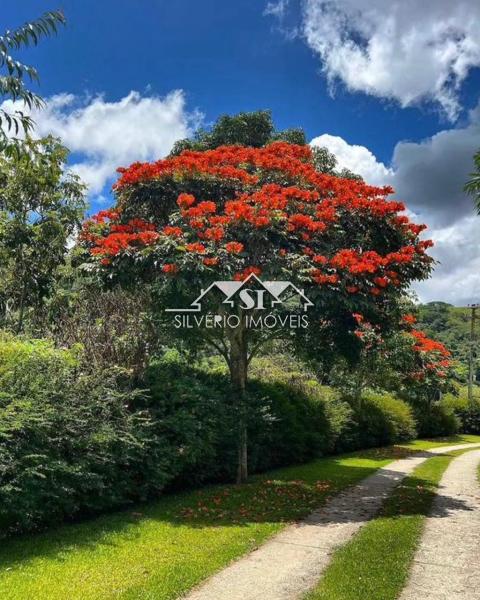 Terreno Residencial à venda em Araras, Petrópolis - RJ - Foto 5
