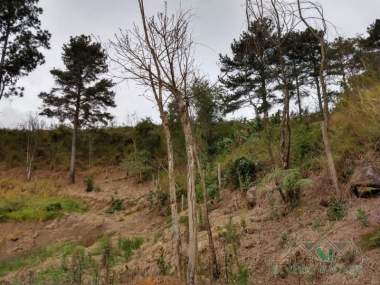[CI 2322] Terreno em Itaipava, Petrópolis/RJ