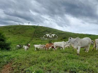 [CI 34576] Fazenda em Centro, Paraíba do Sul/RJ