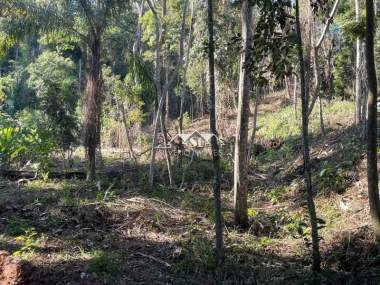[CI 36875] Terreno em Itaipava, Petrópolis/RJ