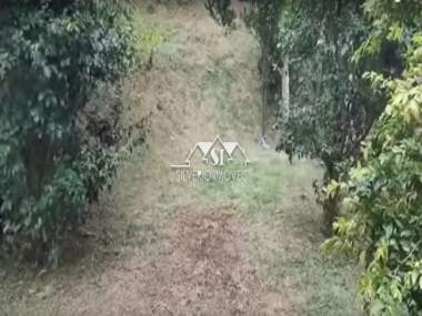 [CI 37296] Terreno em Mosela, Petrópolis/RJ