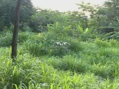 [CI 38320] Terreno em Itaipava, Petrópolis/RJ