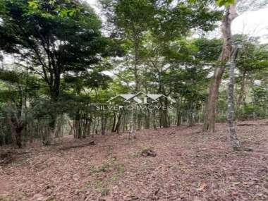 [CI 38920] Terreno em Araras, Petrópolis/RJ