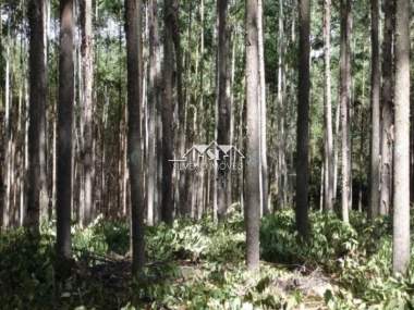 [CI 39484] Terreno em Duas Pedras, Nova Friburgo/RJ