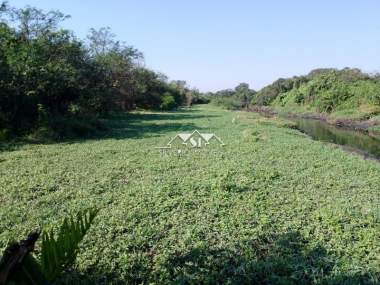 [CI 40154] Sítio em Guaxindiba, São Gonçalo/RJ