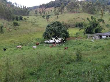 [CI 40309] Fazenda em Argirita , Argirita /MG