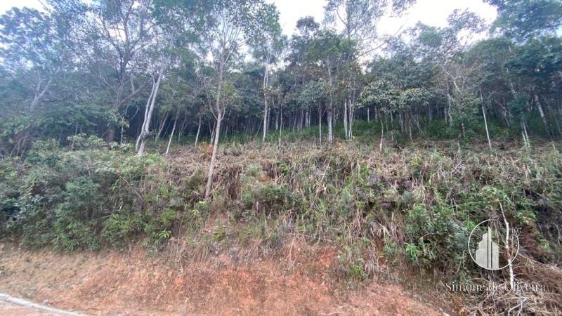 Comprar Terreno Residencial em Itaipava, Petrópolis/RJ - Simone de Oliveira Imóveis