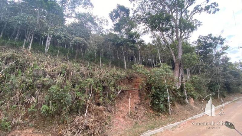 Terreno Residencial em Itaipava - Petrópolis/RJ 