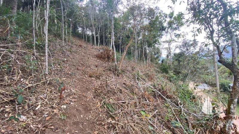 Comprar Terreno Residencial em Itaipava, Petrópolis/RJ - Simone de Oliveira Imóveis