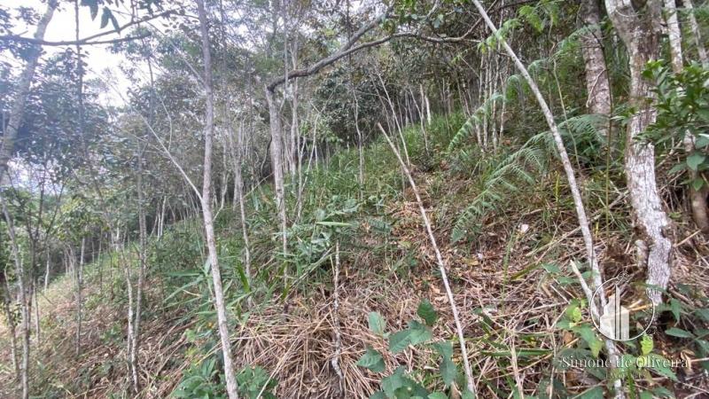 Comprar Terreno Residencial em Itaipava, Petrópolis/RJ - Simone de Oliveira Imóveis