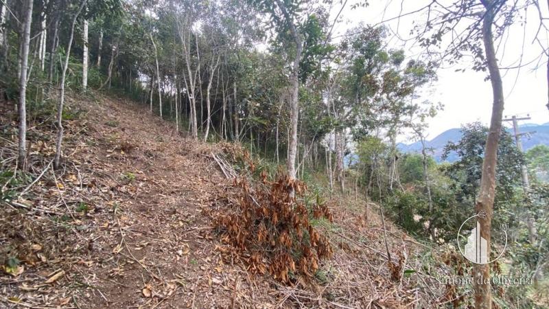 Comprar Terreno Residencial em Itaipava, Petrópolis/RJ - Simone de Oliveira Imóveis