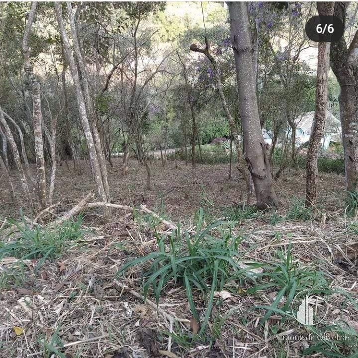 Comprar Terreno Residencial em Itaipava, Petrópolis/RJ - Simone de Oliveira Imóveis