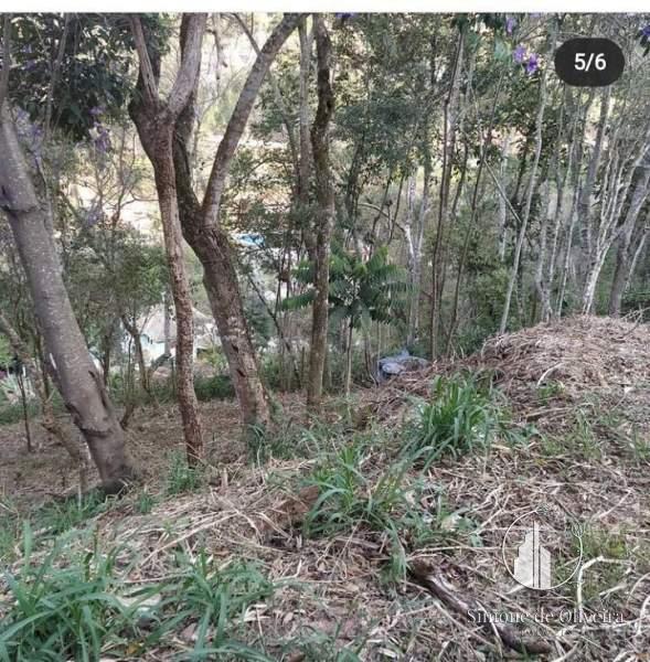 Comprar Terreno Residencial em Itaipava, Petrópolis/RJ - Simone de Oliveira Imóveis