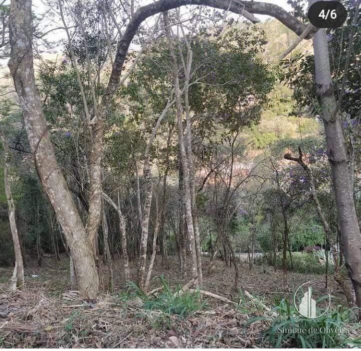 Comprar Terreno Residencial em Itaipava, Petrópolis/RJ - Simone de Oliveira Imóveis