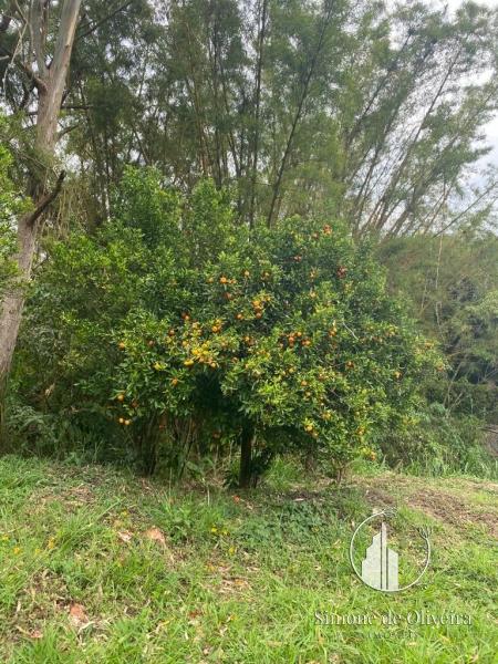 Comprar Terreno Residencial em Itaipava, Petrópolis/RJ - Simone de Oliveira Imóveis