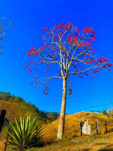 Comprar Fazenda / Sítio em Itaipava, Petrópolis/RJ - Simone de Oliveira Imóveis Comprar Fazenda / Sítio em Itaipava, Petrópolis/RJ - Simone de Oliveira Imóveis