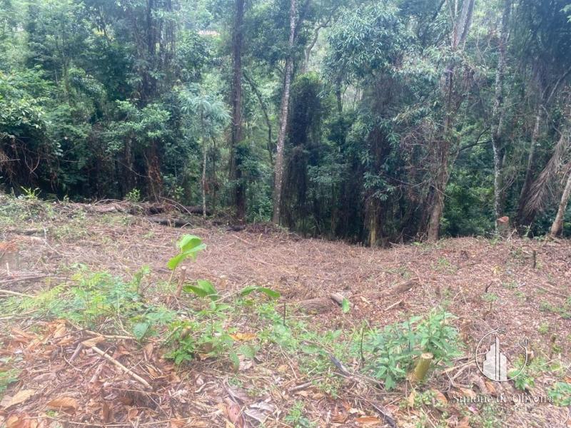 Terreno Residencial em Itaipava - Petrópolis/RJ 
