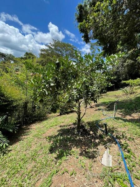 Alugar Casa em Itaipava, Petrópolis/RJ - Simone de Oliveira Imóveis