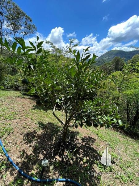 Alugar Casa em Itaipava, Petrópolis/RJ - Simone de Oliveira Imóveis