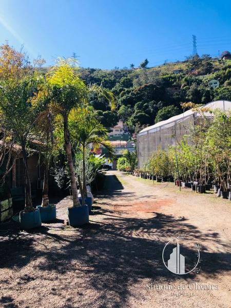 Comprar Terreno Comercial em Itaipava, Petrópolis/RJ - Simone de Oliveira Imóveis