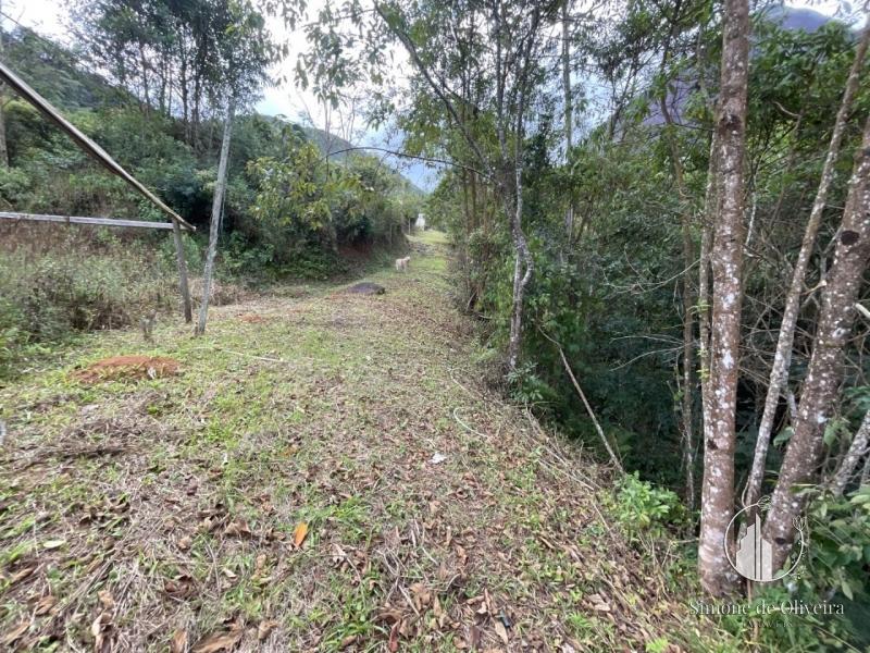 Comprar Fazenda / Sítio em Itaipava, Petrópolis/RJ - Simone de Oliveira Imóveis