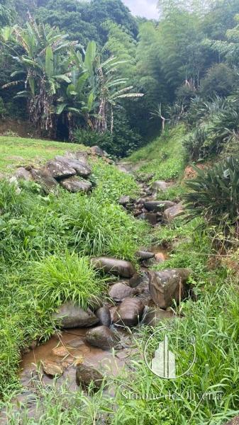 Comprar Fazenda / Sítio em Itaipava, Petrópolis/RJ - Simone de Oliveira Imóveis