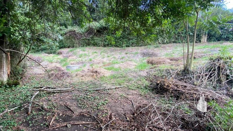 Comprar Terreno Comercial em Itaipava, Petrópolis/RJ - Simone de Oliveira Imóveis