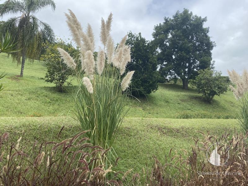 Fazenda / Sítio em Itaipava - Petrópolis/RJ  - 3 Quartos