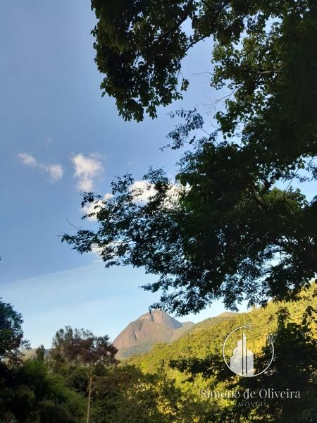 Comprar Casa em Itaipava, Petrópolis/RJ - Simone de Oliveira Imóveis
