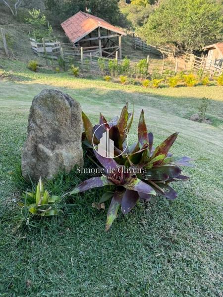 Comprar Terreno Residencial em Secretário, Petrópolis/RJ - Simone de Oliveira Imóveis