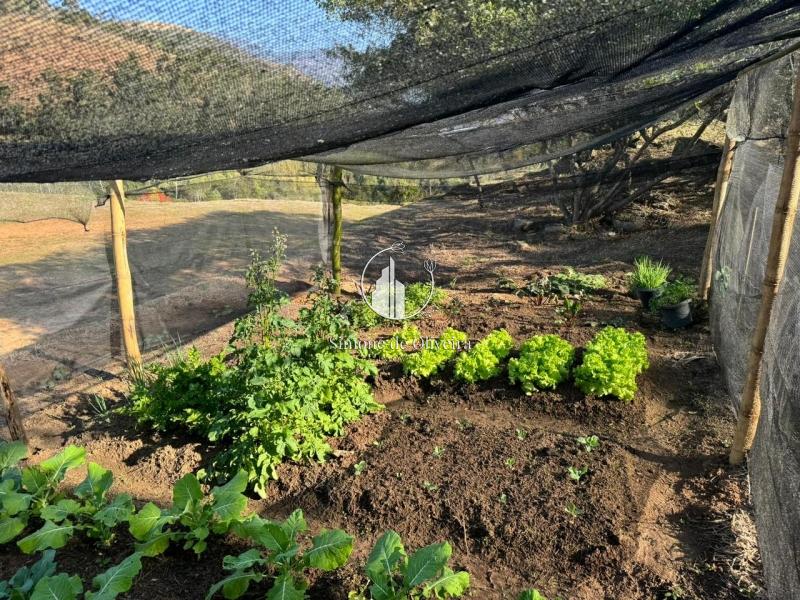 Comprar Terreno Residencial em Secretário, Petrópolis/RJ - Simone de Oliveira Imóveis