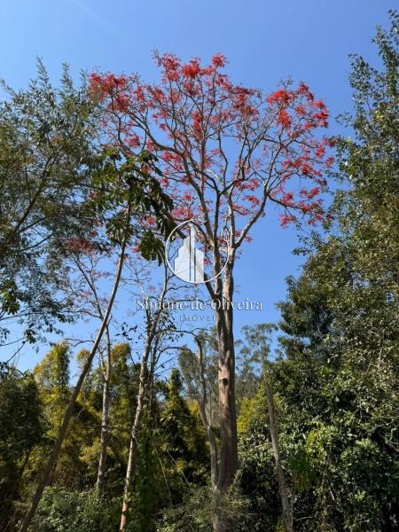 Comprar Terreno Residencial em Secretário, Petrópolis/RJ - Simone de Oliveira Imóveis