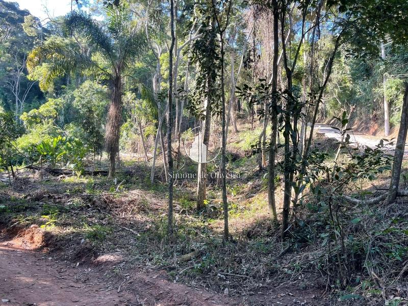 Comprar Terreno Residencial em Itaipava, Petrópolis/RJ - Simone de Oliveira Imóveis