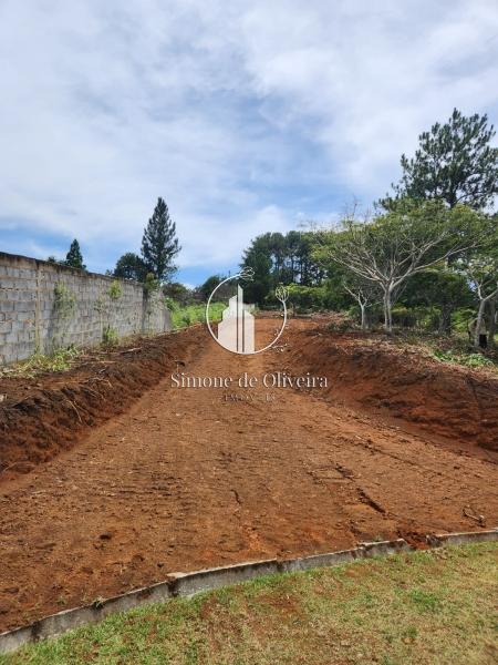 Comprar Terreno Residencial em Cuiabá, Petrópolis/RJ - Simone de Oliveira Imóveis