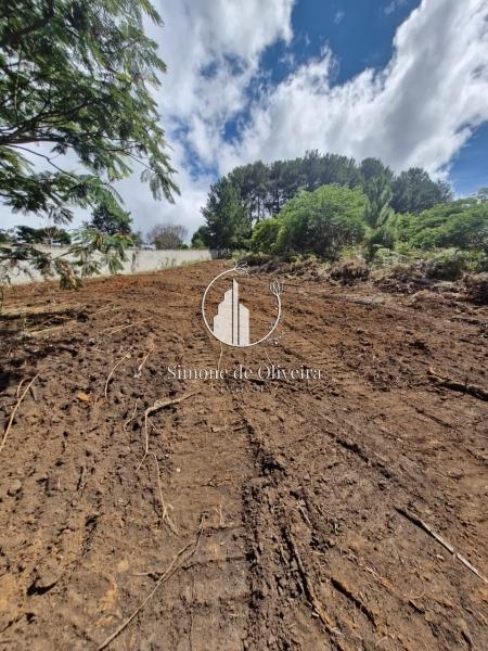 Comprar Terreno Residencial em Cuiabá, Petrópolis/RJ - Simone de Oliveira Imóveis