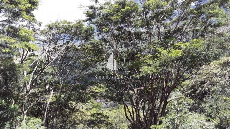 Comprar Terreno Residencial em Araras, Petrópolis/RJ - Simone de Oliveira Imóveis