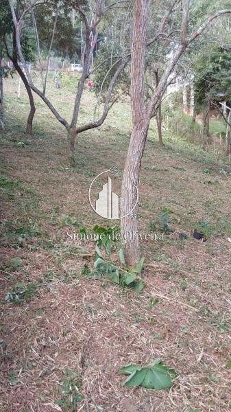 Comprar Terreno Residencial em Araras, Petrópolis/RJ - Simone de Oliveira Imóveis