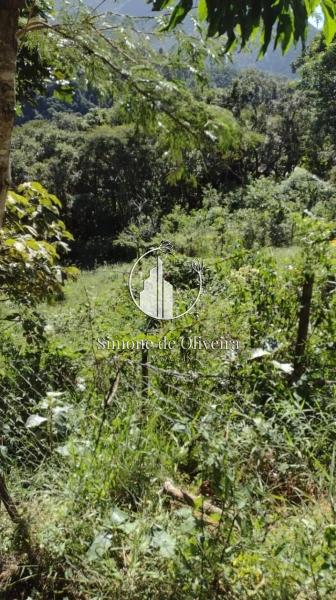 Comprar Terreno Residencial em Araras, Petrópolis/RJ - Simone de Oliveira Imóveis