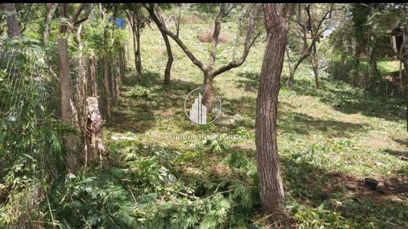 Comprar Terreno Residencial em Araras, Petrópolis/RJ - Simone de Oliveira Imóveis