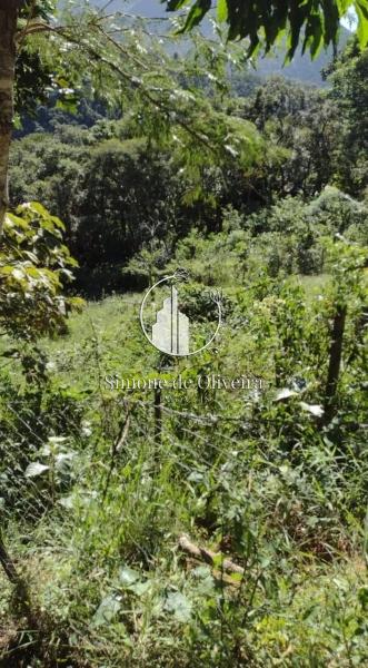 Comprar Terreno Residencial em Araras, Petrópolis/RJ - Simone de Oliveira Imóveis