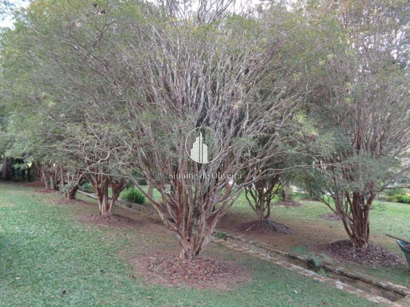 Comprar Casa em Itaipava, Petrópolis/RJ - Simone de Oliveira Imóveis