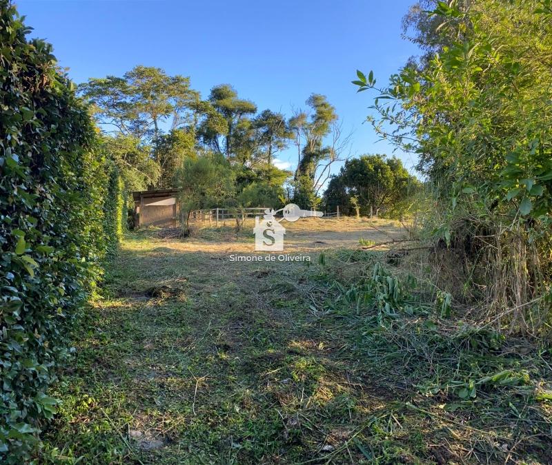 Comprar Casa em Itaipava, Petrópolis/RJ - Simone de Oliveira Imóveis