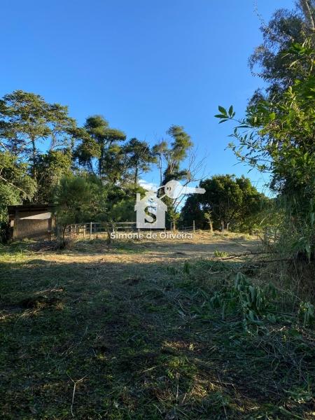 Comprar Casa em Itaipava, Petrópolis/RJ - Simone de Oliveira Imóveis
