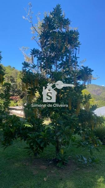 Comprar Casa em Itaipava, Petrópolis/RJ - Simone de Oliveira Imóveis