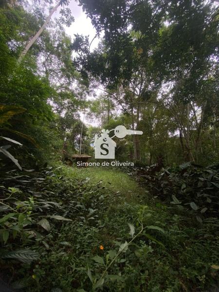 Comprar Fazenda / Sítio em Itaipava, Petrópolis/RJ - Simone de Oliveira Imóveis